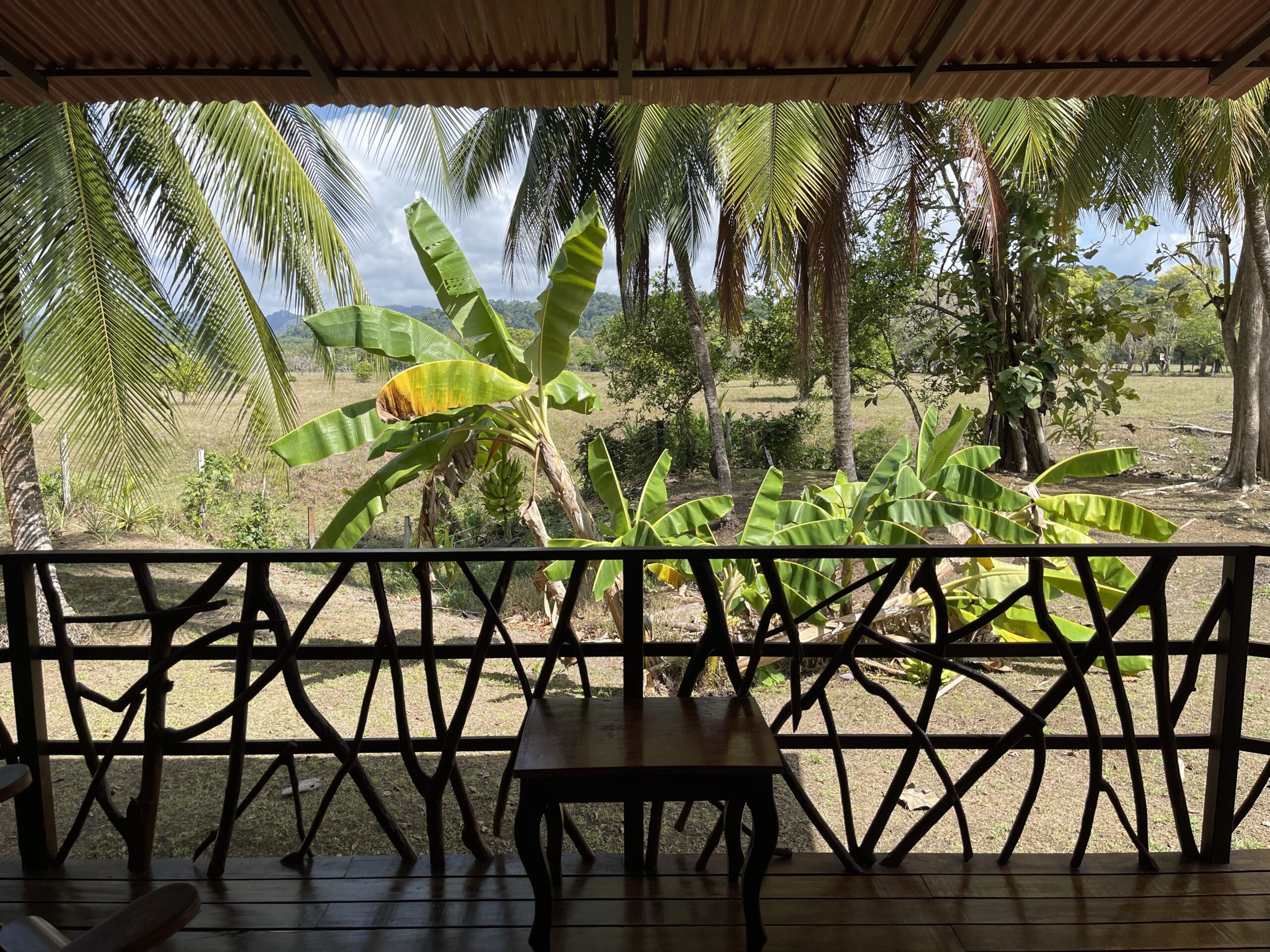 2022_JESS_Balcon vista